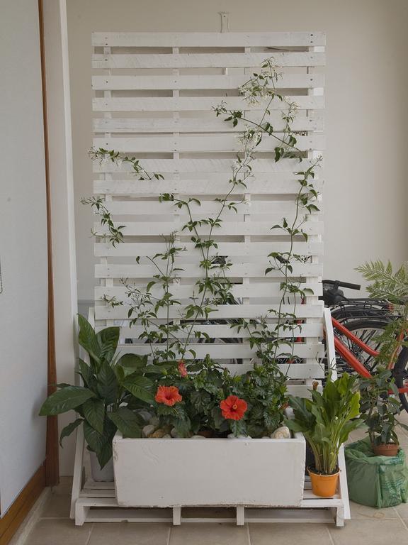 B&B Viro Campi Salentina Dış mekan fotoğraf