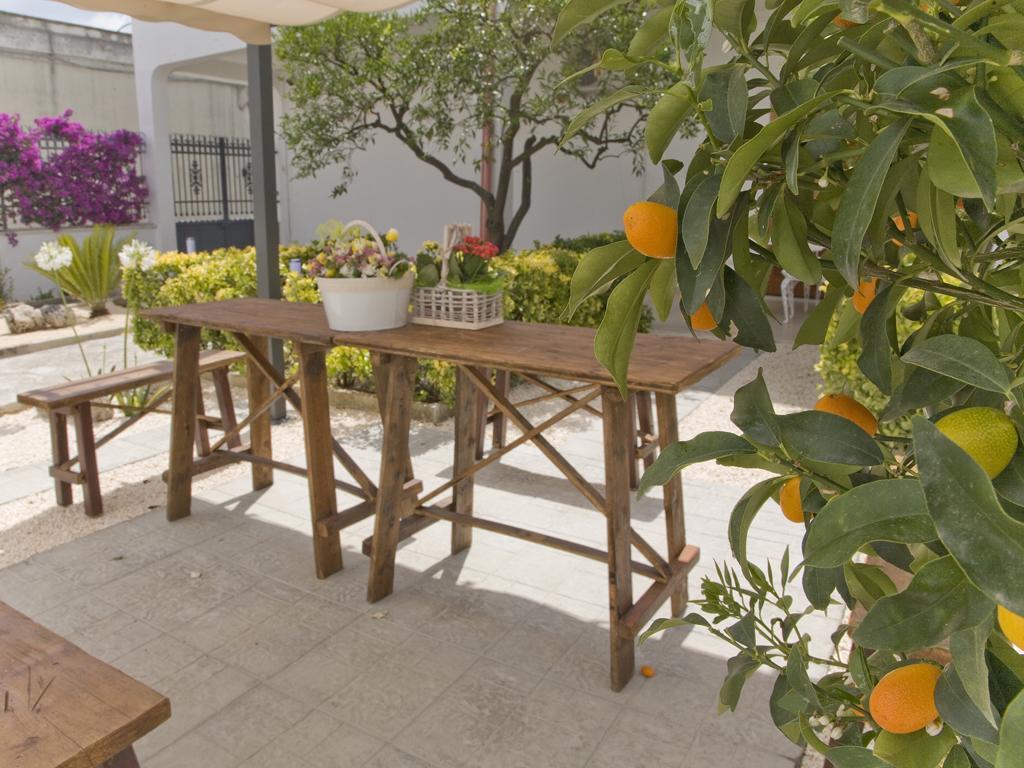 B&B Viro Campi Salentina Dış mekan fotoğraf