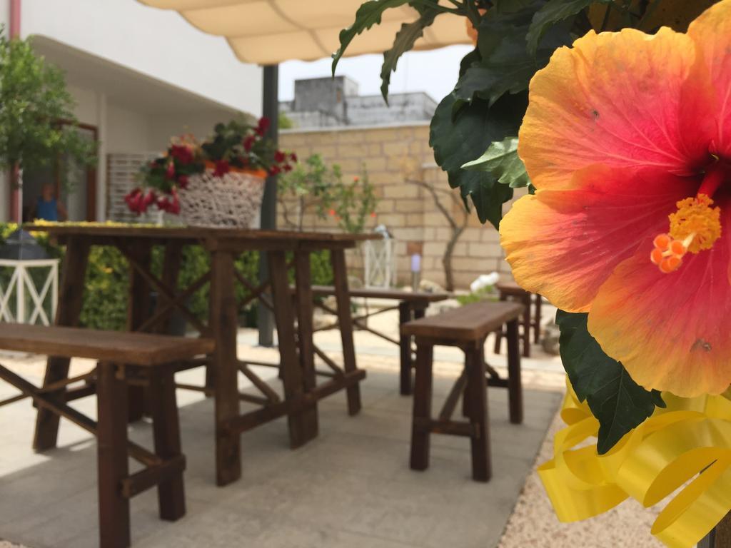 B&B Viro Campi Salentina Dış mekan fotoğraf
